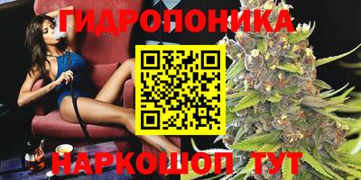 стафф Тула