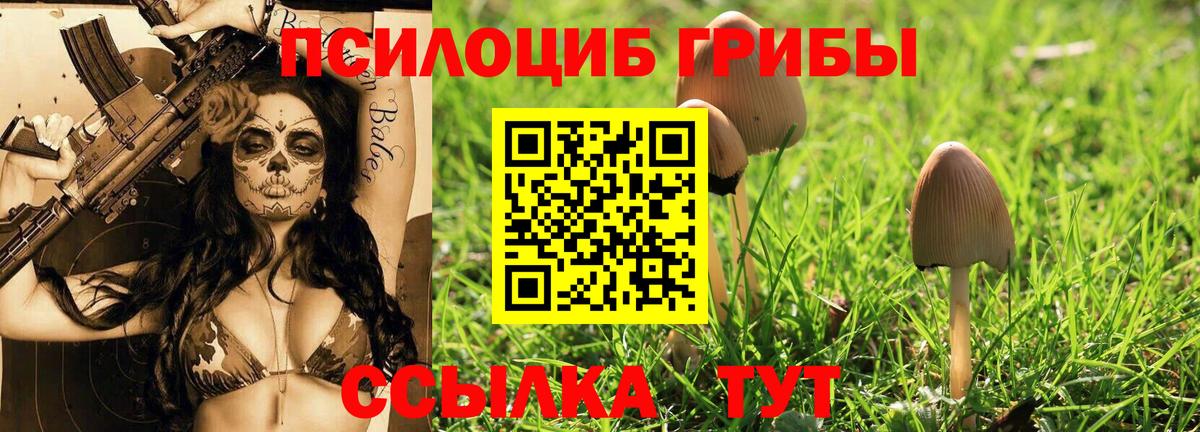 Псилоцибиновые грибы мухоморы  Вход с VPN  Удомля 
