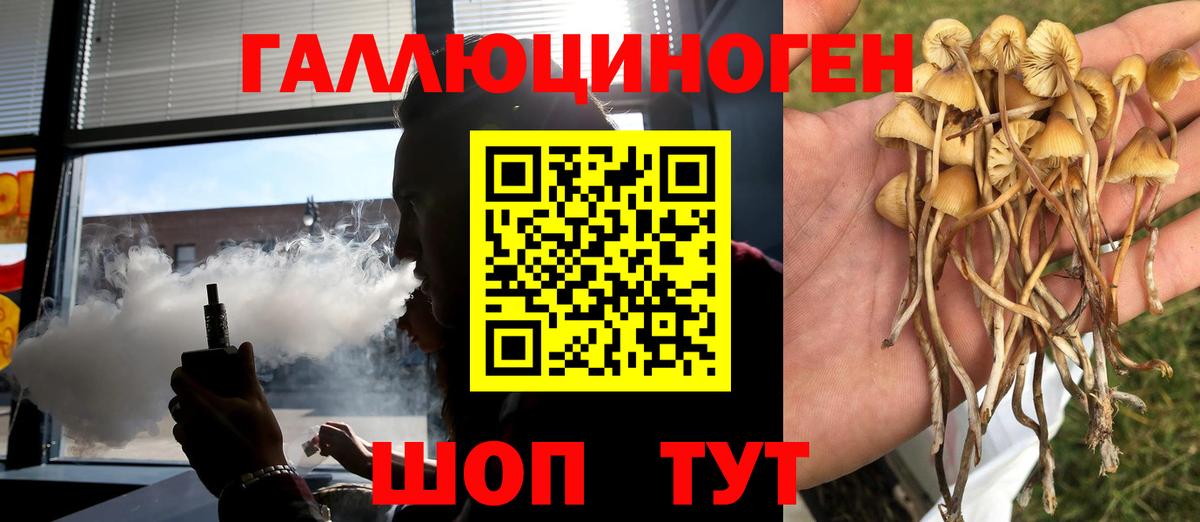 Псилоцибиновые грибы прущие грибы Удомля